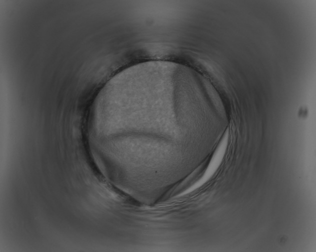 X0000092230221200710051225