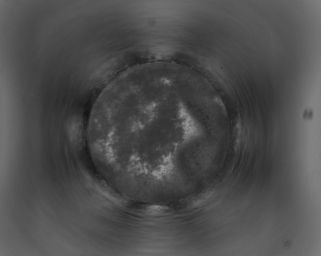 X0000092230222200710051225