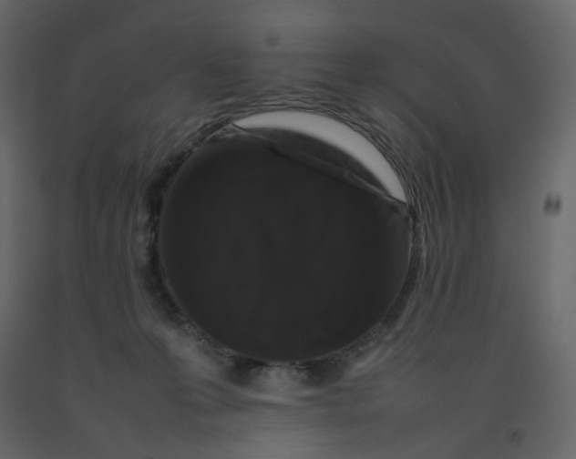 X0000092230223200710051225