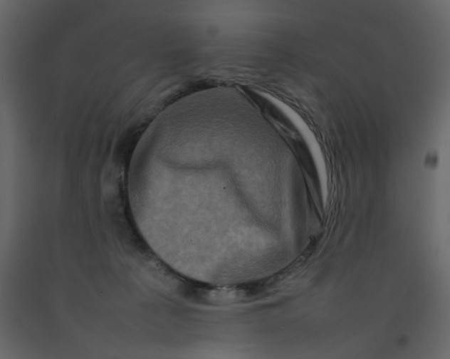 X0000092230225200710051225