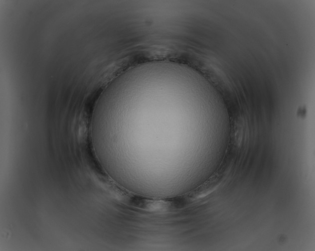 X0000092230226200710051225