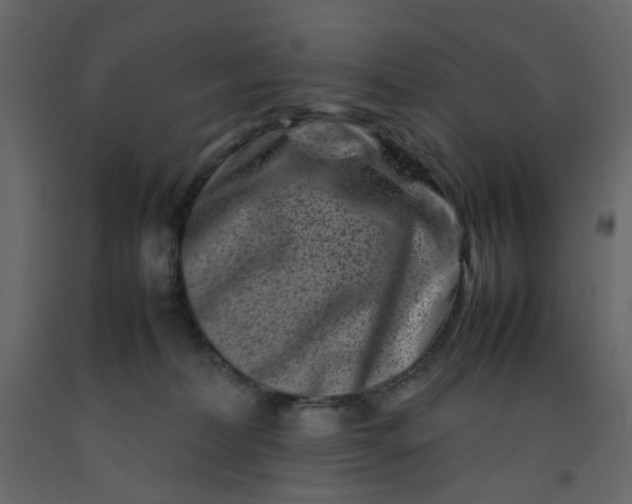 X0000092230228200710051225