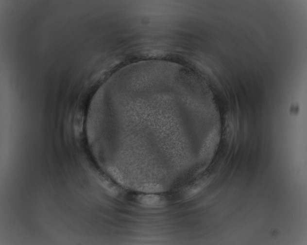 X0000092230230200710051225