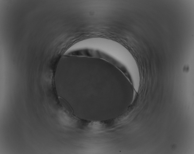 X0000092230231200710051225