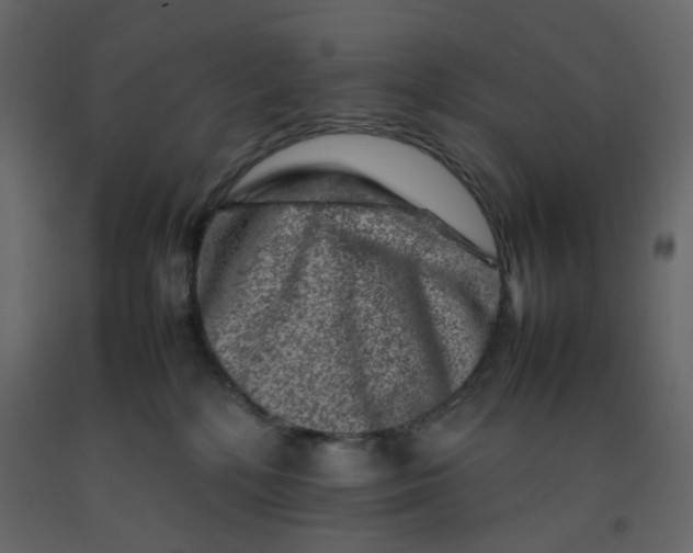 X0000092230232200710051225