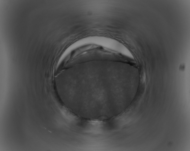 X0000092230233200710051225