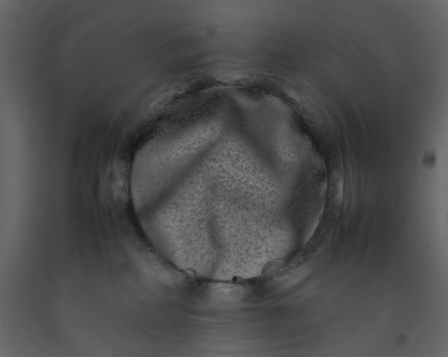 X0000092230234200710051225