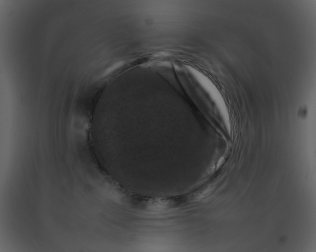 X0000092230235200710051225