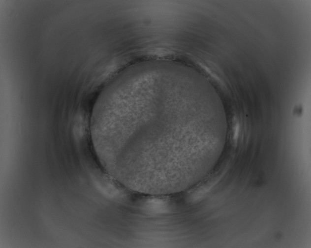 X0000092230236200710051225