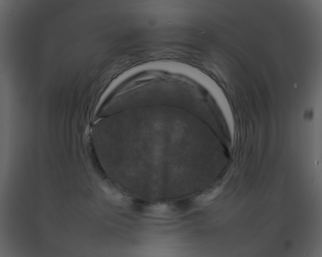 X0000092230237200710051225