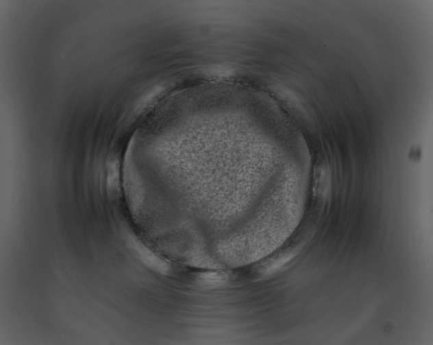 X0000092230238200710051225