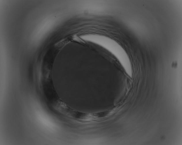 X0000092230239200710051225