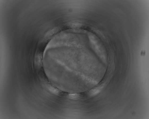 X0000092230240200710051225