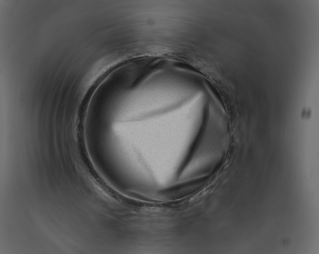 X0000092230242200710051224