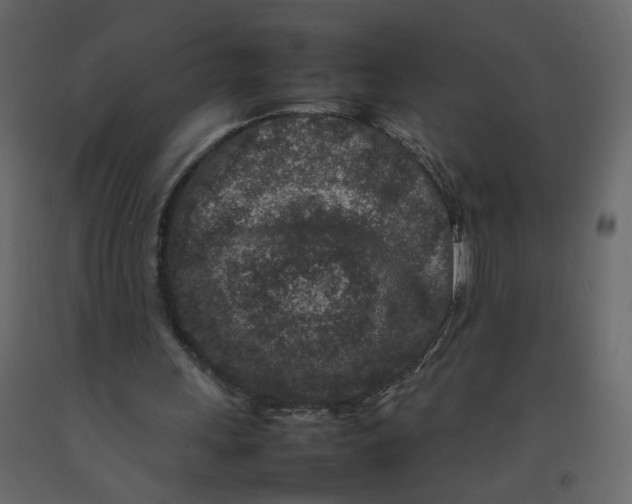 X0000092230243200710051224