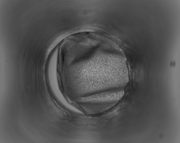 X0000092230244200710051224