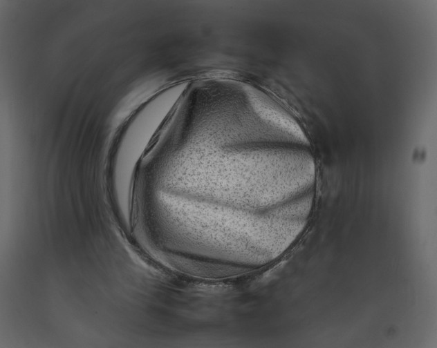 X0000092230245200710051224