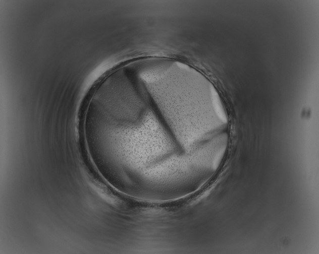 X0000092230246200710051224