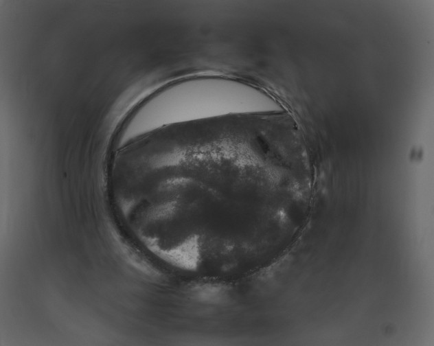 X0000092230247200710051224