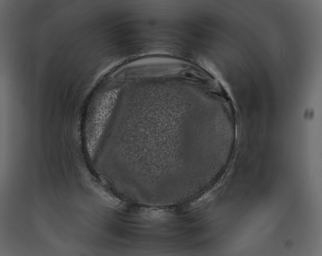 X0000092230249200710051224