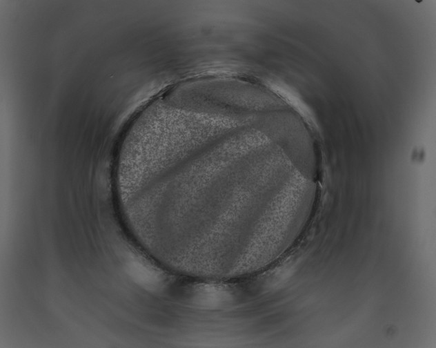 X0000092230250200710051224