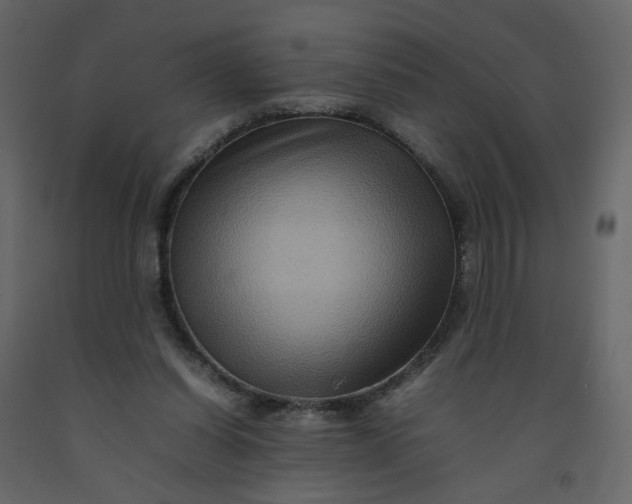 X0000092230254200710051224