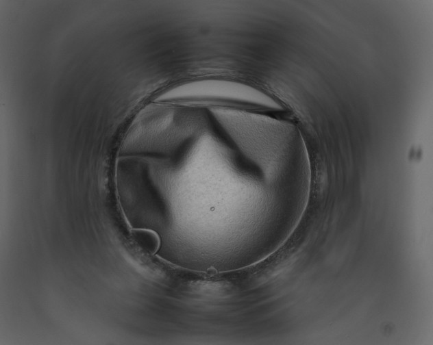 X0000092230255200710051224