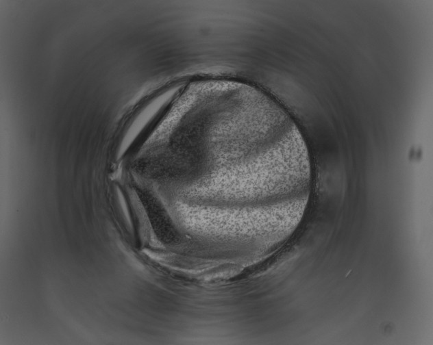 X0000092230256200710051224