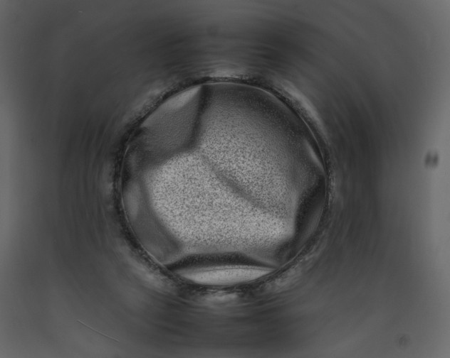 X0000092230257200710051224