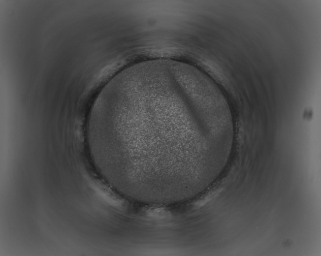 X0000092230258200710051224