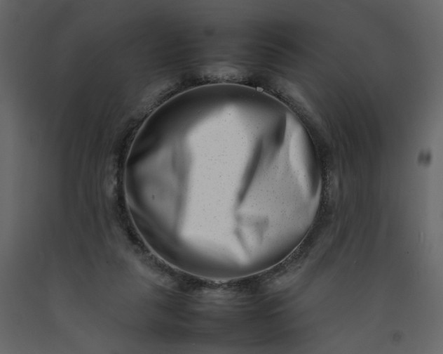 X0000092230259200710051224