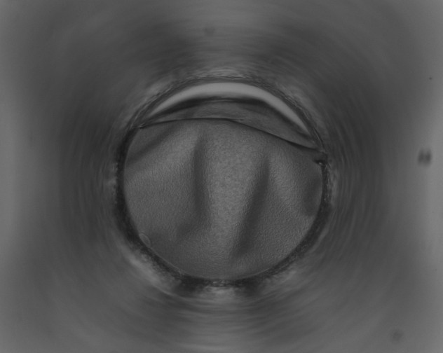 X0000092230260200710051224