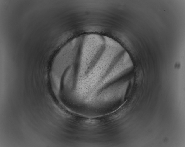 X0000092230261200710051224