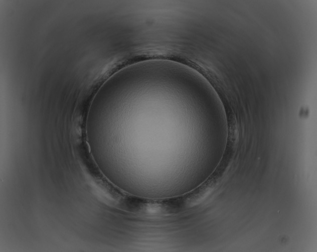 X0000092230264200710051224