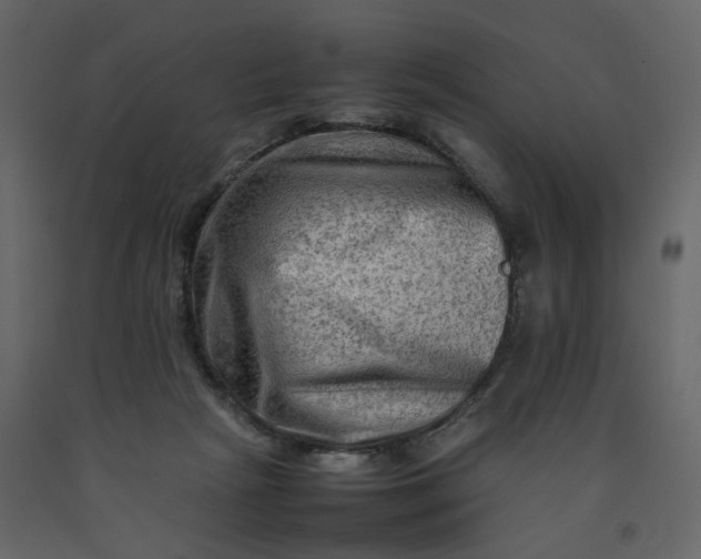 X0000092230265200710051224