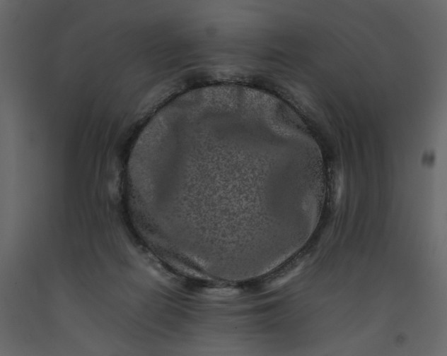 X0000092230266200710051224