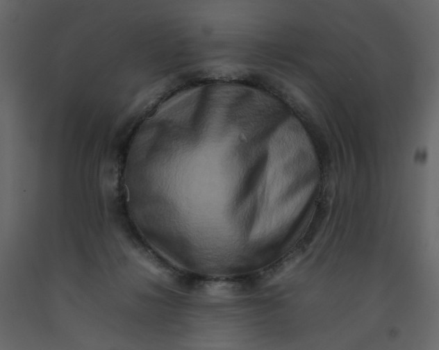 X0000092230268200710051224