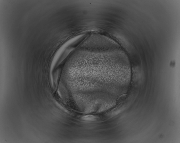 X0000092230269200710051224