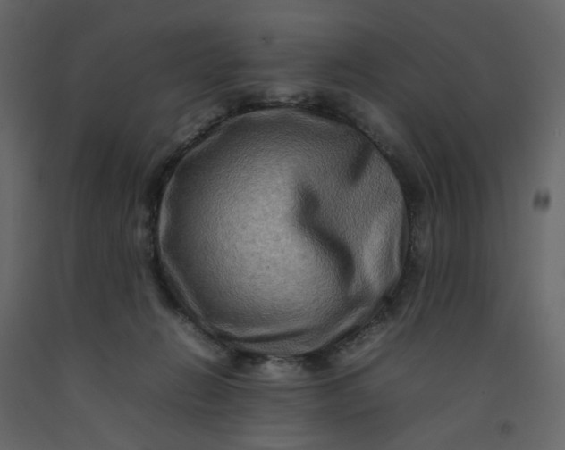 X0000092230270200710051224