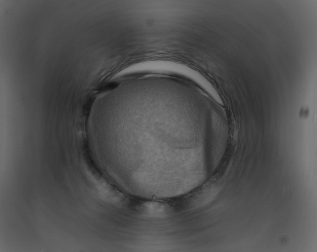 X0000092230272200710051224