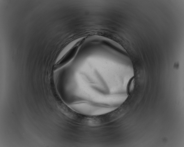 X0000092230275200710051224