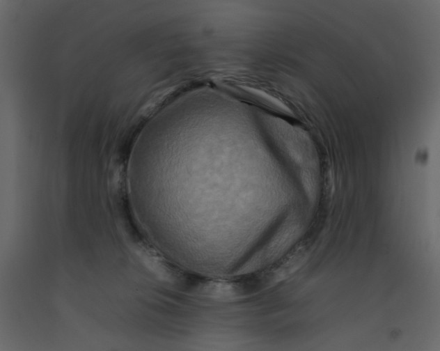 X0000092230276200710051225