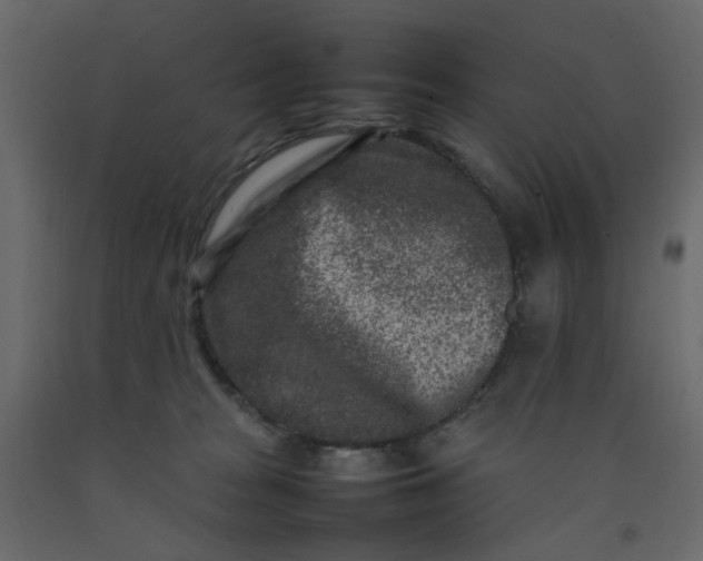 X0000092230277200710051225