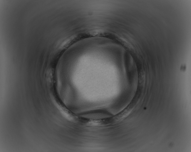 X0000092230280200710051225