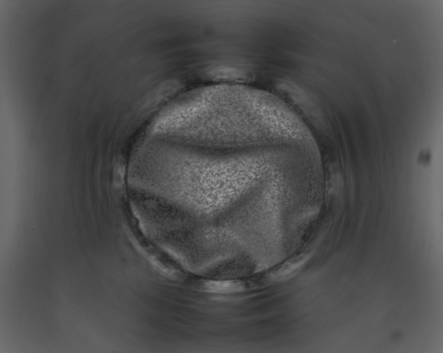 X0000092230281200710051225