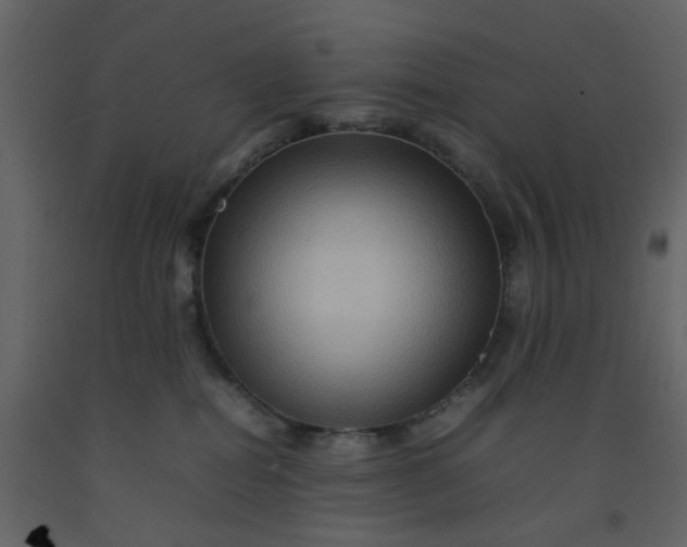 X0000092230282200710051225