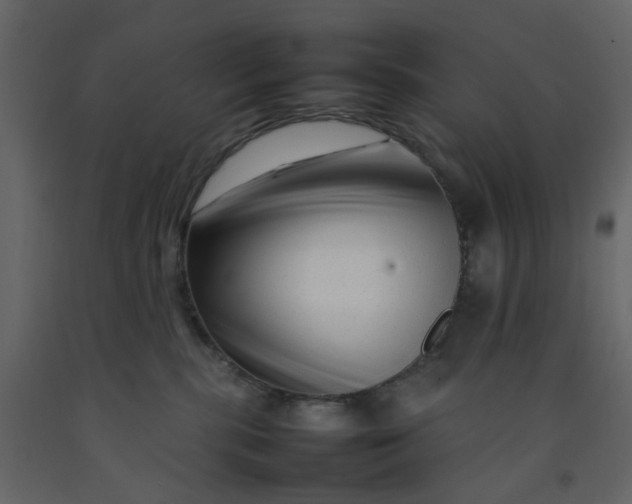 X0000092230283200710051225