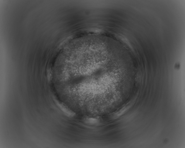 X0000092230285200710051225