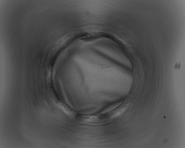 X0000092230288200710051225