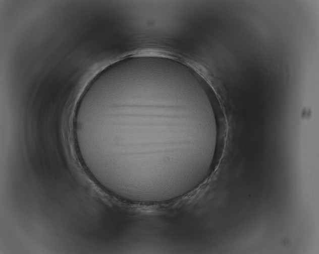 X0000092230289200710051224